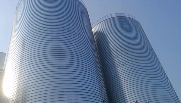 张北2座混凝土高架卷板仓